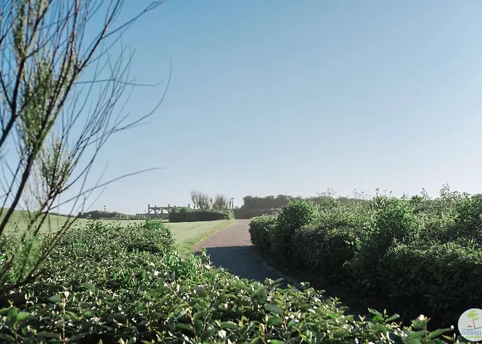 Apartman Bourg T3 Avec Piscine Biscarrosse