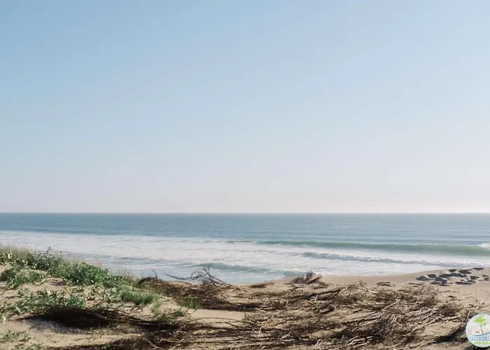 Bourg T3 Avec Piscine Apartman *