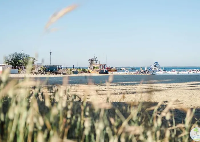 Apartman Bourg T3 Avec Piscine Biscarrosse