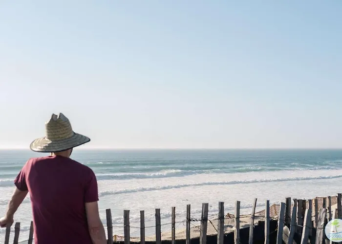 Apartment Bourg T3 Avec Piscine